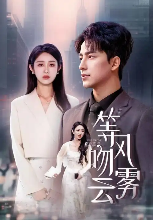沉默的真相 电视剧封面